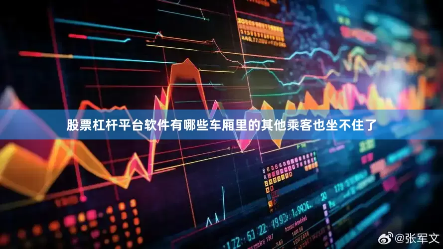 股票杠杆平台软件有哪些车厢里的其他乘客也坐不住了