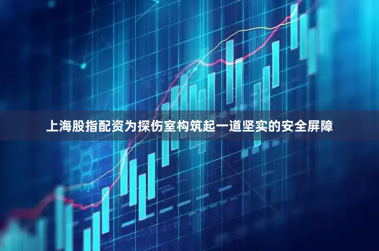 上海股指配资为探伤室构筑起一道坚实的安全屏障