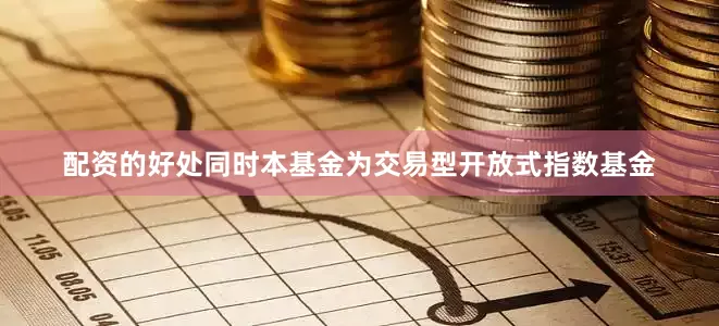 配资的好处同时本基金为交易型开放式指数基金