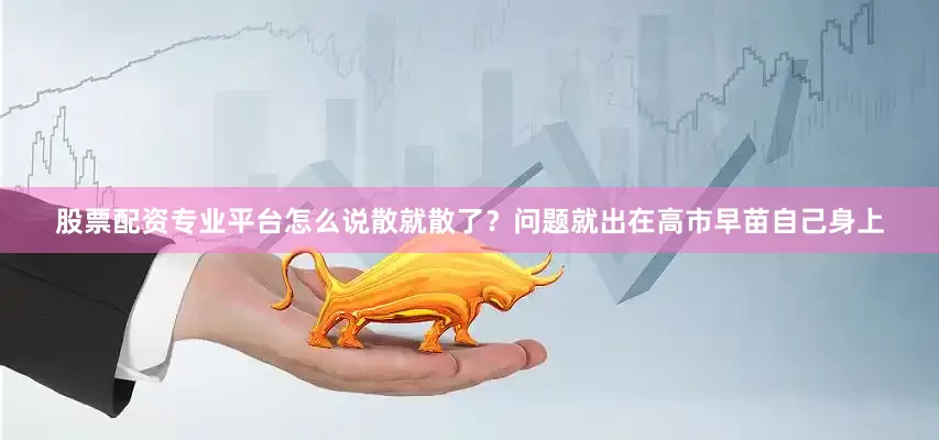 股票配资专业平台怎么说散就散了？问题就出在高市早苗自己身上