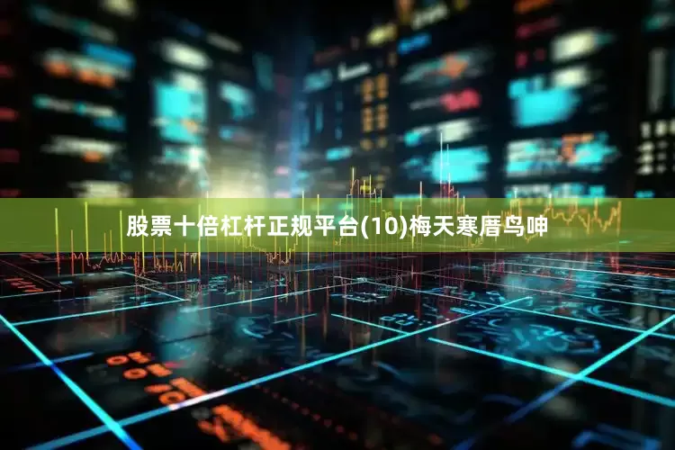 股票十倍杠杆正规平台(10)梅天寒厝鸟呻